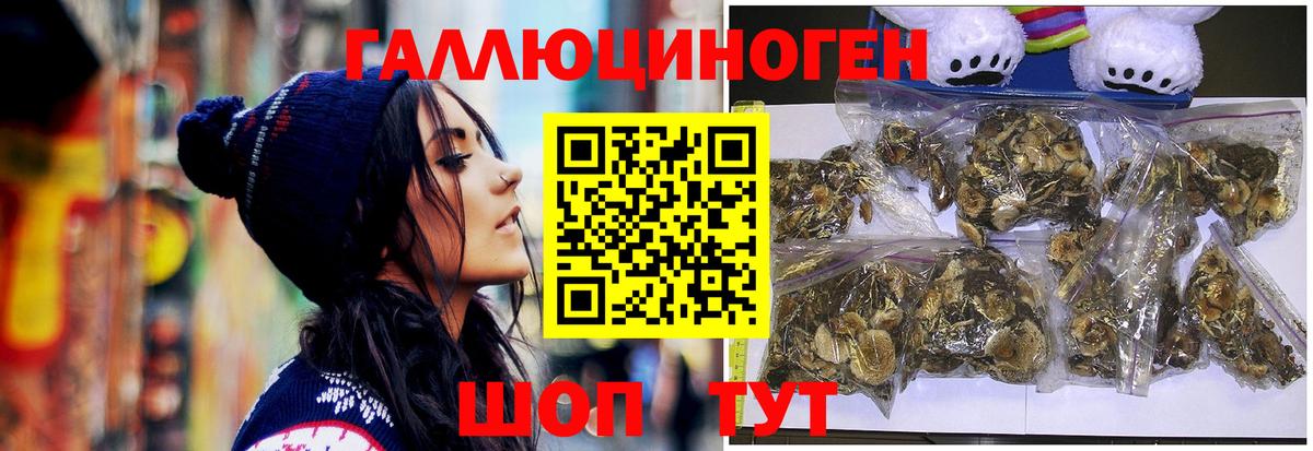 Галлюциногенные грибы Magic Shrooms  Вход с VPN  Новокуйбышевск 