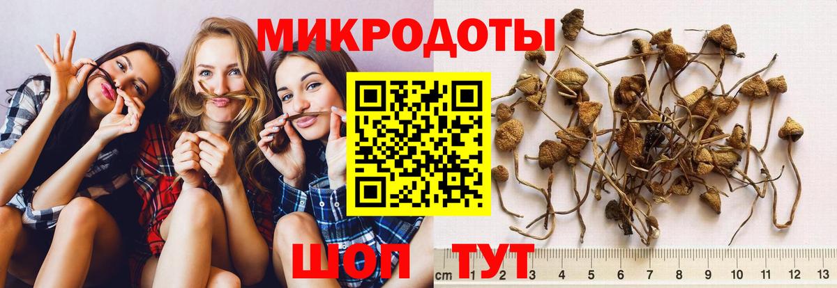 Галлюциногенные грибы GOLDEN TEACHER Новокуйбышевск